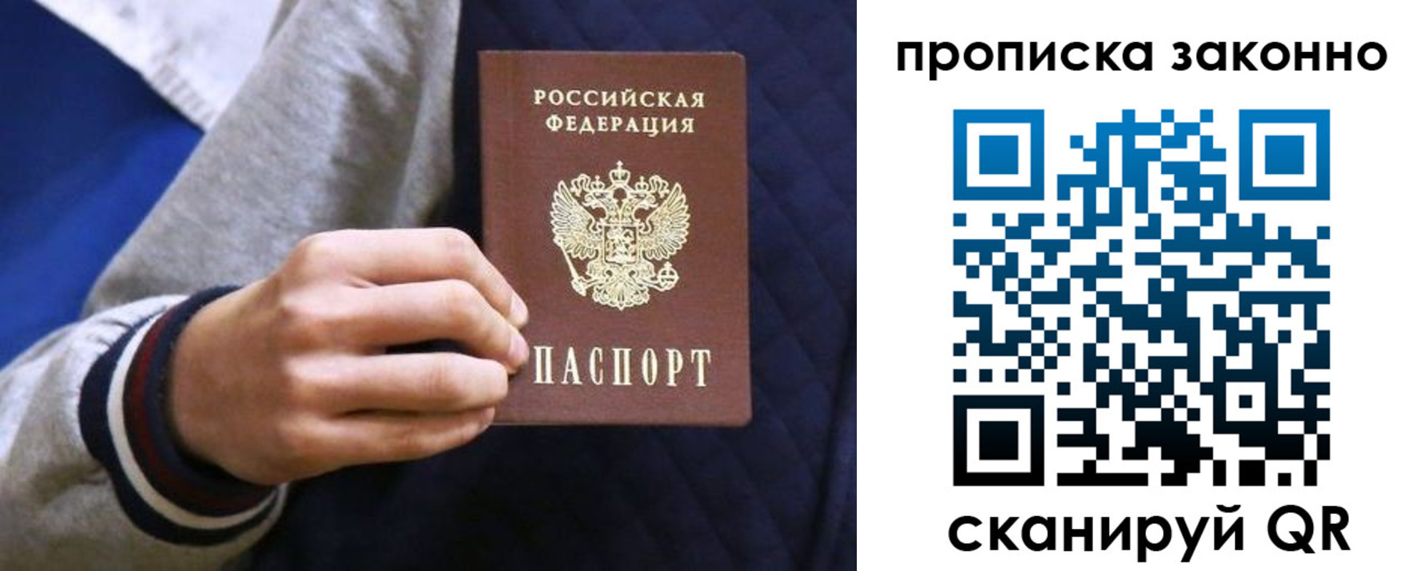 прописка гарантия в Тосно